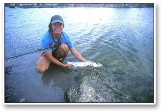 Jan's 'cuda, the release Jan's 'cuda, the release