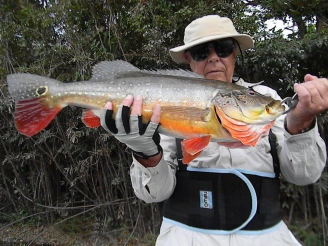 A Tucunaré Paca A Tucunaré Paca