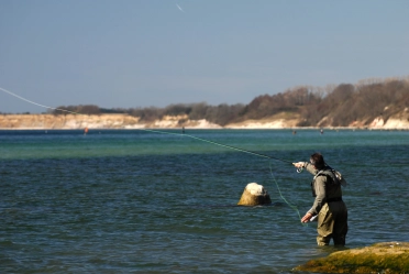 The Bornholm coast The Bornholm coast