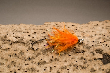 Small Orange Intruder Small Orange Intruder