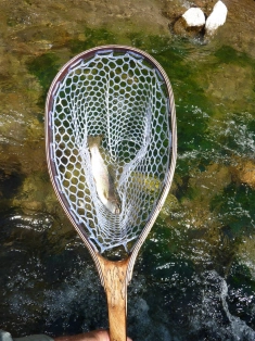 Forget the size Forget the size