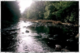 Big Flatbrook Big Flatbrook