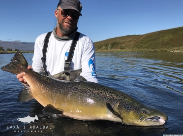 106 cm and 60 cm girth! 106 cm and 60 cm girth!