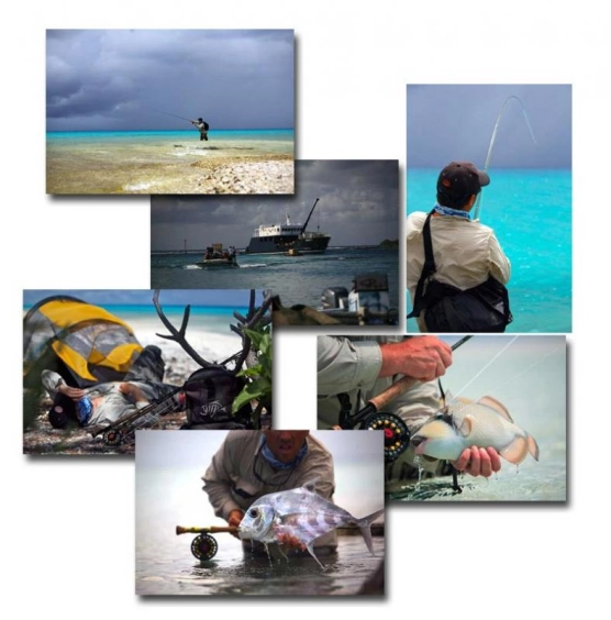 The search The search