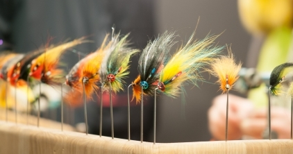 Flies to look at Flies to look at