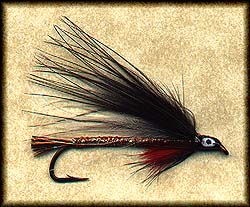 COPPERDOODLEDOO Image