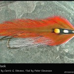 #40 Indian Rock - Peter Simonson #40 Indian Rock - Peter Simonson