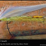 #17 Spofford Smelt - Glenn Peckel #17 Spofford Smelt - Glenn Peckel