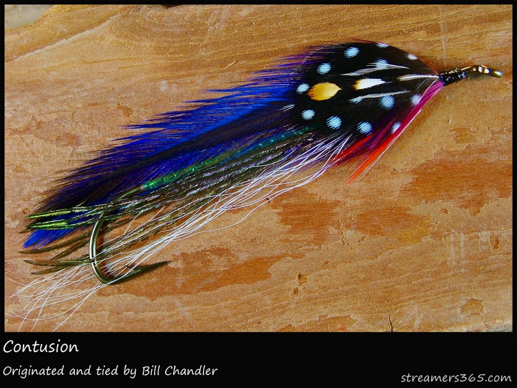 #11 Contusion - Bill Chandler #11 Contusion - Bill Chandler