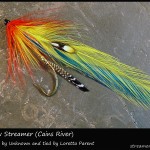 #38 Rainbow Streamer (Cains River) - Loretta Parent #38 Rainbow Streamer (Cains River) - Loretta Parent