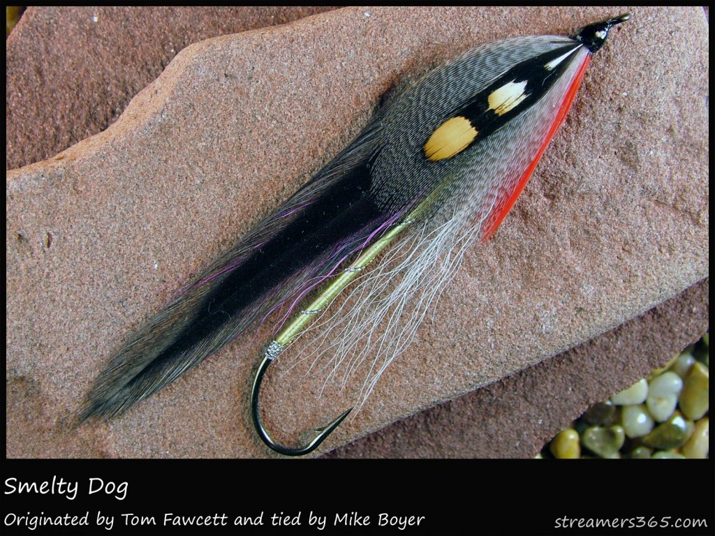 #96 Smelty Dog - Mike Boyer #96 Smelty Dog - Mike Boyer