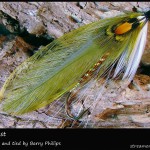 #143 Bev's Best - Barry Phillips