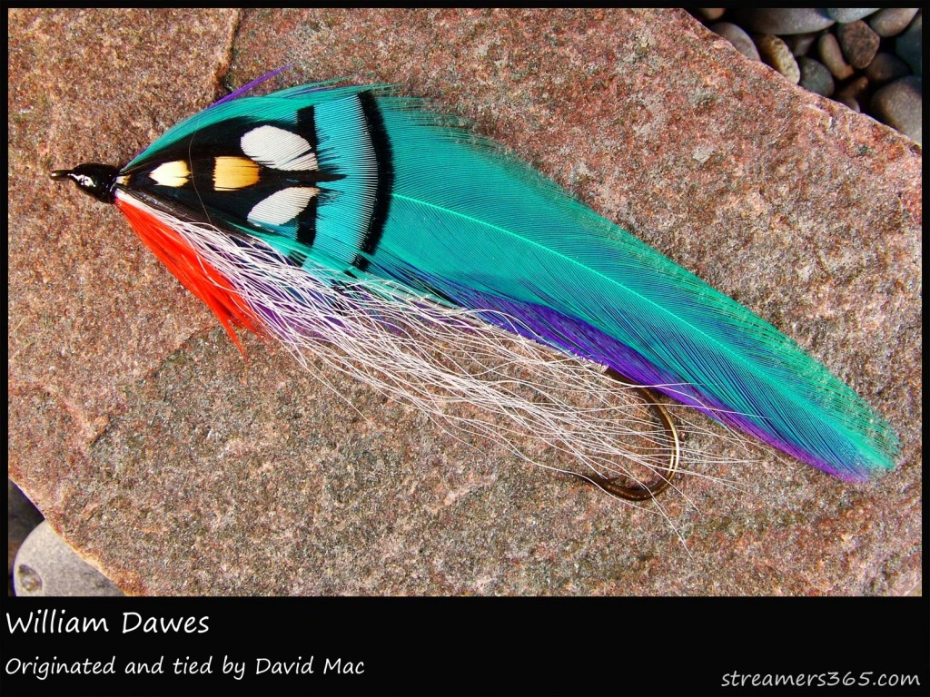 #171 William Dawes - David Mac #171 William Dawes - David Mac