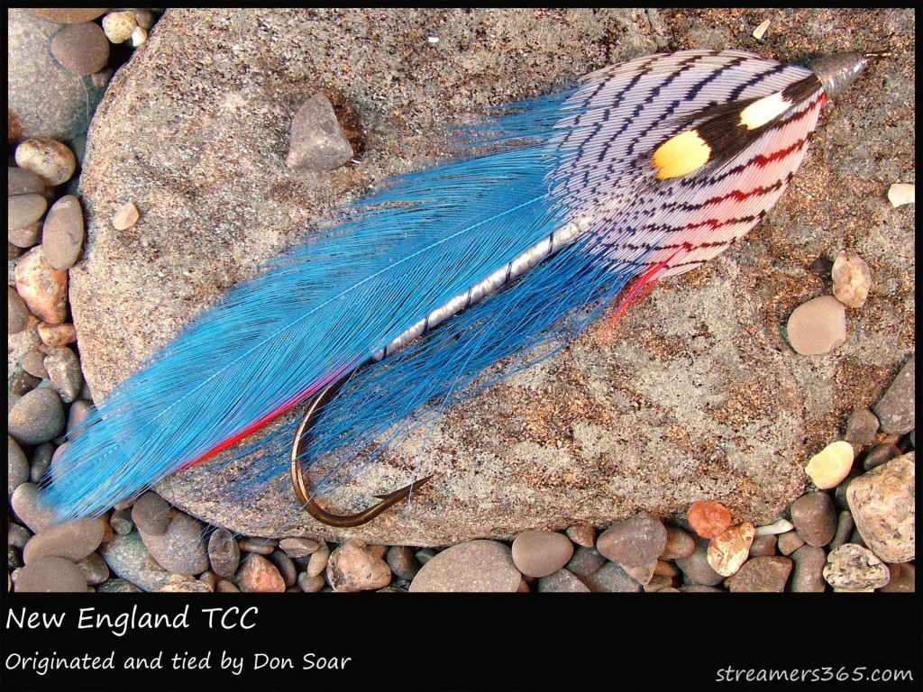 #196 New England - Team Colors Collection - Don Soar