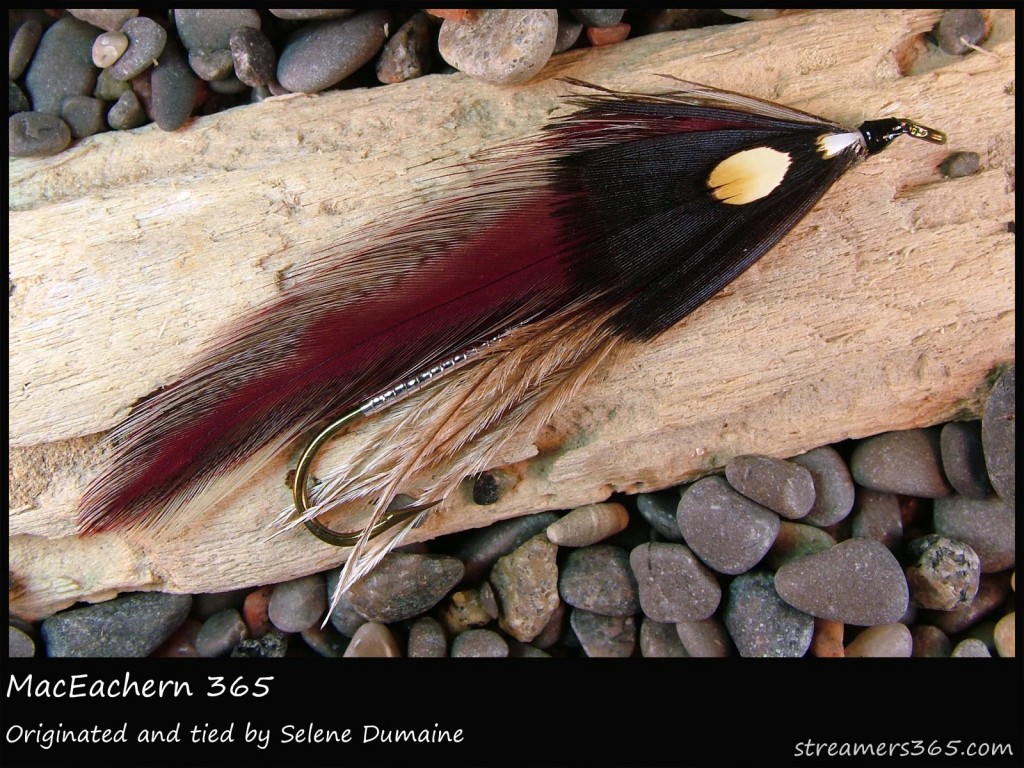 #208 MacEachern 365 - Selene Dumaine #208 MacEachern 365 - Selene Dumaine