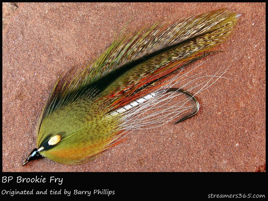 #270 BP Brookie Trout Fry - Barry Phillips