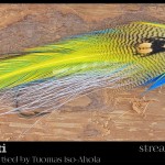 Undulaatti - Tuomas Iso-Ahola