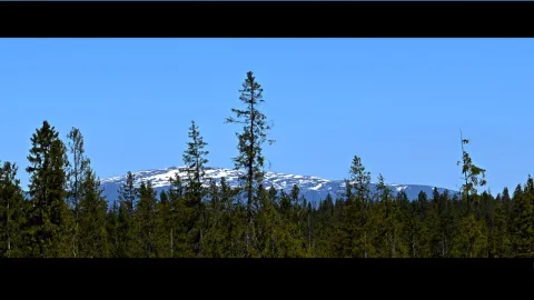 Video thumb for Spring Treasures