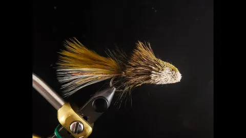 Video thumb for Galloup's Wooly Sculpin