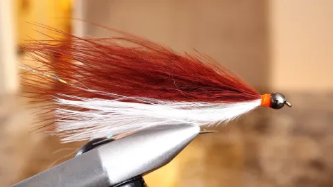 Video thumb for Kurts Creek Minnow