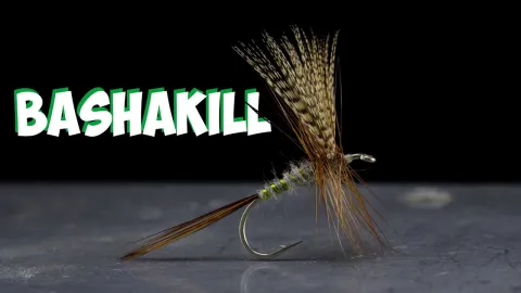 Video thumb for Bashakill