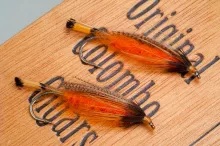 Two Branchu flies
