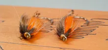 Tw Branchu flies