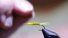 Video thumb for Golden Stonefly Nymph