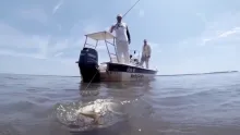 Video thumb for Fly Fishing Pacu and Dorado in Parana River Argentina