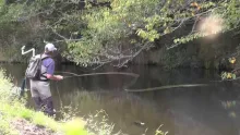 Video thumb for 5onfly North Island Dry Fly