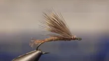 Video thumb for March Brown Emerger