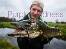 Video thumb for Purple Madness - Pike On The Fly