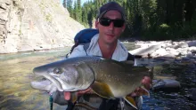 Video thumb for The Bull Trout of Bigfoot Country