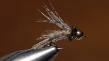 Video thumb for Bird of Prey Caddis