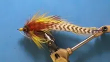 Video thumb for Designing a Bass Fly
