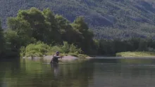 Video thumb for Clear water dry fly fishing
