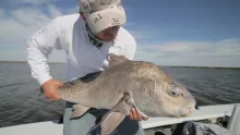 Video thumb for Topwater Redfish Louisiana