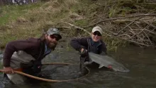 Video thumb for Steelhead Fly Fishing Trip