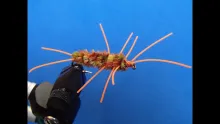 Video thumb for Rubber Leg Stone Fly