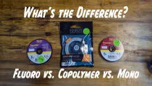 Video thumb for The Differences in Tippet