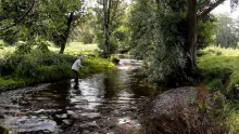 Video thumb for Randorshire Trout