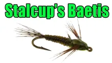 Video thumb for Stalcup's Baetis
