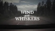 Video thumb for Wind in the Whiskers