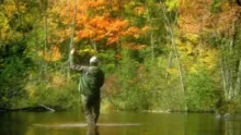 Video thumb for Midwest Fall Fly Fishing