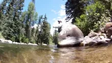 Video thumb for Save a Horse, Ride an Angler