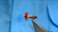 Video thumb for Defoe Caddis