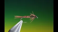 Video thumb for Pheasant Tail Nymph