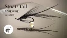 Video thumb for Stoats Tail Long Wing