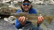 Video thumb for Flyfishing back to NZ