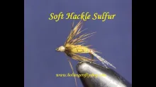 Video thumb for Soft Hackle Sulfur